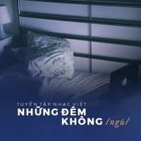 Những Đêm Không Ngủ - Various Artists
