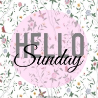 Những Bài Hát Cho Ngày Chủ Nhật - Various Artists