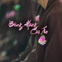 Bông Hồng Cài Áo - Various Artists