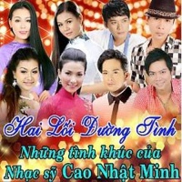 Hai Lối Đường Tình - Various Artists 1