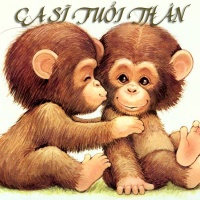 Những Ca Sĩ Tuổi Thân - Various Artists