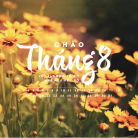 Chào Tháng 8 - Various Artists