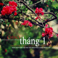 Chào Tháng 1 - Various Artists