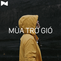 Mùa Trở Gió - Various Artists