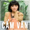 Những Bài Hát Hay Nhất Của Cẩm Vân - Cẩm Vân