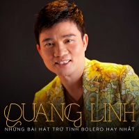 Những Bài Hát Bolero Hay Nhất Của Quang Linh - Quang Linh