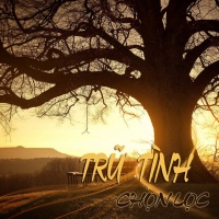 Những Bài Hát Trữ Tình Chọn Lọc Hay Nhất 2017 - Various Artists