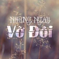 Những Ngày Vỡ Đôi - Various Artists