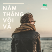 Năm Tháng Vội Vã - Various Artists