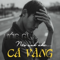 Ước Gì Não Anh Như Cá Vàng - Various Artists