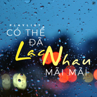 Có Thể Đã Lạc Nhau Mãi Mãi - Various Artists