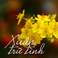 Xuân Trữ Tình - Various Artists