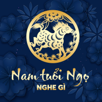 Nam Tuổi Ngọ Nghe Gì? - Various Artists
