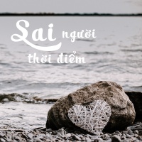 Sai Người Sai Thời Điểm - Various Artists