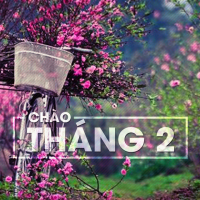 Chào Tháng 2 - Various Artists