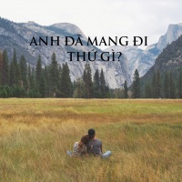 ANH ĐÃ MANG ĐI THỨ GÌ? - Various Artists