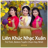 Liên Khúc Nhạc Xuân Trữ Tình, Bolero Tuyển Chọn Hay Nhất - Various Artists
