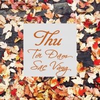 Thu Tới Đậm Sắc Vàng - Various Artists
