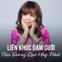 Liên Khúc Đám Cưới Trên Đường Quê Hay Nhất - Various Artists
