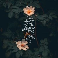 Bận Yêu Người Cũ - Various Artists