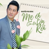 Mẹ Ơi Con Đã Lớn Rồi (Single) - Nguyễn Phi Hùng