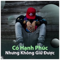Có Hạnh Phúc Nhưng Không Giữ Được - Various Artists