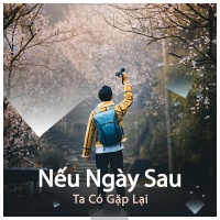 Nếu Ngày Sau Ta Có Gặp Lại - Various Artists