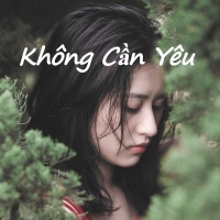 Không Cần Yêu - Various Artists