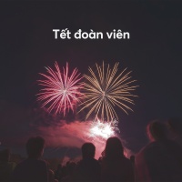 Tết Đoàn Viên - Various Artists