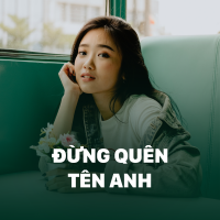 Đừng Quên Tên Anh - Various Artists