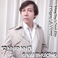 12 Nhịp Nhớ 6 Vài Thương (Single) - Micae Lê Hùng