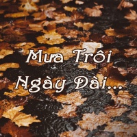 Mưa Trôi Ngày Dài - Various Artists