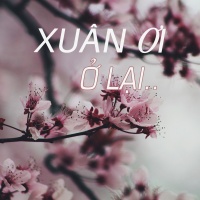 Xuân Ơi Ở Lại - Various Artists
