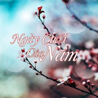 Ngày Cuối Cùng Của Năm - Various Artists