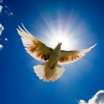 Playlist Tuyển tập những bài hát hay cho cuộc sống của Trung Nhẫn Nguyễn