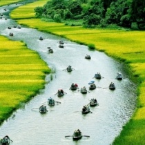 Playlist Nhưng ca khúc trữ tình bất hủ của Lê Ngọc Linh