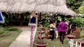 Tình Thoáng Mong Manh - Vân My