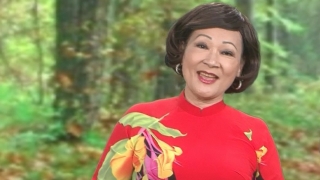 Một Mùa Xuân - Đức Cần