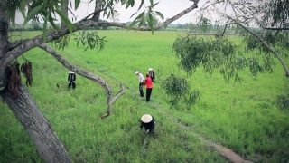 Thương Nhau Cái Tình - Tuấn Khương, Minh Nguyệt