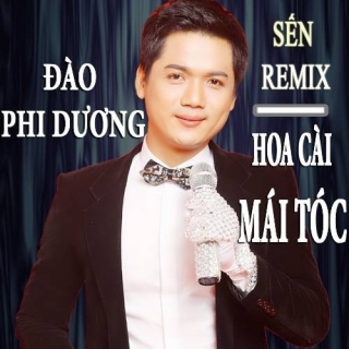 Đào Phi Dương