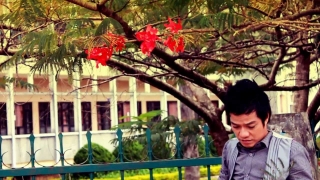 Nỗi Buồn Hoa Phượng - La Thoại Phi