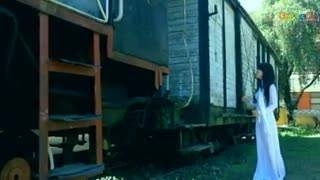 Nỗi Buồn Hoa Phượng - Trầm Hương