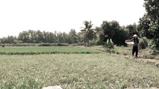 Thương Nhớ Cha Già - Sương Mai