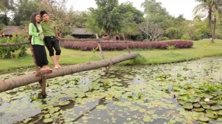 Hương Tóc Mạ Non - Dương Đình Trí