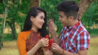 Hái Hoa Rừng Cho Em - Dương Đình Trí, Thanh Ngân