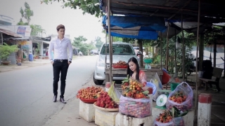 Tình Đẹp Mùa Chôm Chôm - Lưu Chí Vỹ, Dương Hồng Loan