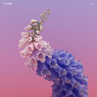 Flume,Allan Kingdom