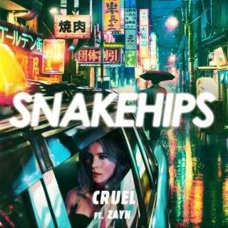 Snakehips,Zayn