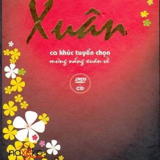 Quang Linh