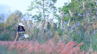 Anh Của Ngày Hôm Qua - Lưu Ngọc Hà